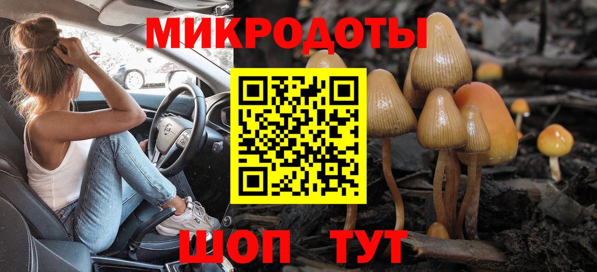 Псилоцибиновые грибы Psilocybe  Псилоцибиновые грибы мухоморы  Вход с VPN  Бутурлиновка 