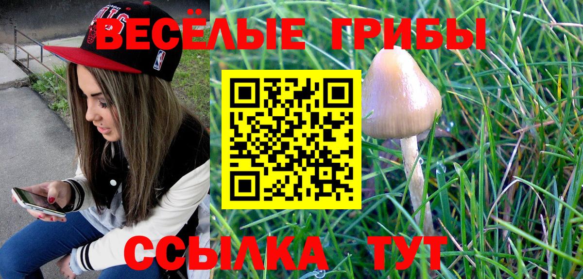 Псилоцибиновые грибы MAGIC MUSHROOMS Бутурлиновка